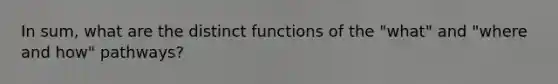 In sum, what are the distinct functions of the "what" and "where and how" pathways?