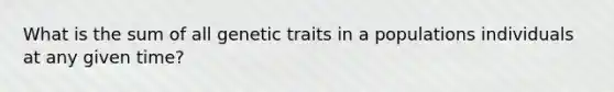 What is the sum of all genetic traits in a populations individuals at any given time?