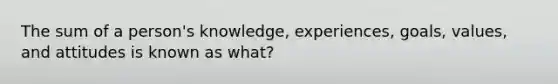 The sum of a person's knowledge, experiences, goals, values, and attitudes is known as what?