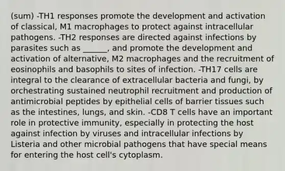 (sum) -TH1 responses promote the development and activation of classical, M1 macrophages to protect against intracellular pathogens. -TH2 responses are directed against infections by parasites such as ______, and promote the development and activation of alternative, M2 macrophages and the recruitment of eosinophils and basophils to sites of infection. -TH17 cells are integral to the clearance of extracellular bacteria and fungi, by orchestrating sustained neutrophil recruitment and production of antimicrobial peptides by epithelial cells of barrier tissues such as the intestines, lungs, and skin. -CD8 T cells have an important role in protective immunity, especially in protecting the host against infection by viruses and intracellular infections by Listeria and other microbial pathogens that have special means for entering the host cell's cytoplasm.