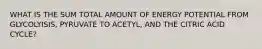 WHAT IS THE SUM TOTAL AMOUNT OF ENERGY POTENTIAL FROM GLYCOLYISIS, PYRUVATE TO ACETYL, AND THE CITRIC ACID CYCLE?