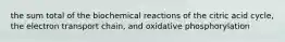 the sum total of the biochemical reactions of the citric acid cycle, the electron transport chain, and oxidative phosphorylation