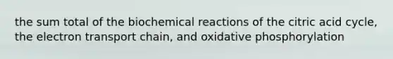 the sum total of the <a href='https://www.questionai.com/knowledge/kVn7fMxiFS-biochemical-reactions' class='anchor-knowledge'>biochemical reactions</a> of the citric acid cycle, <a href='https://www.questionai.com/knowledge/k57oGBr0HP-the-electron-transport-chain' class='anchor-knowledge'>the electron transport chain</a>, and <a href='https://www.questionai.com/knowledge/kFazUb9IwO-oxidative-phosphorylation' class='anchor-knowledge'>oxidative phosphorylation</a>