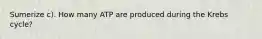 Sumerize c). How many ATP are produced during the Krebs cycle?