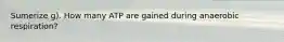 Sumerize g). How many ATP are gained during anaerobic respiration?