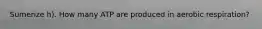 Sumerize h). How many ATP are produced in aerobic respiration?