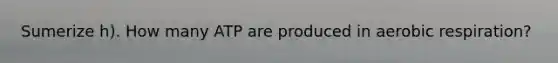 Sumerize h). How many ATP are produced in aerobic respiration?