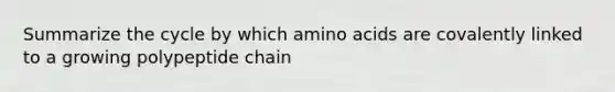 Summarize the cycle by which amino acids are covalently linked to a growing polypeptide chain