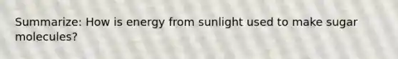 Summarize: How is energy from sunlight used to make sugar molecules?