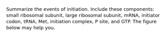 Summarize the events of initiation. Include these components: small ribosomal subunit, large ribosomal subunit, mRNA, initiator codon, tRNA, Met, initiation complex, P site, and GTP. The figure below may help you.