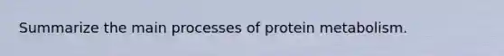 Summarize the main processes of protein metabolism.