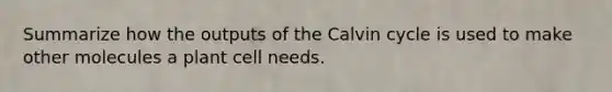 Summarize how the outputs of the Calvin cycle is used to make other molecules a plant cell needs.