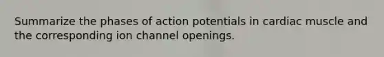 Summarize the phases of action potentials in cardiac muscle and the corresponding ion channel openings.