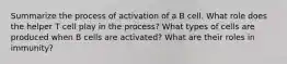 Summarize the process of activation of a B cell. What role does the helper T cell play in the process? What types of cells are produced when B cells are activated? What are their roles in immunity?