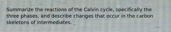 Summarize the reactions of the Calvin cycle, specifically the three phases, and describe changes that occur in the carbon skeletons of intermediates.