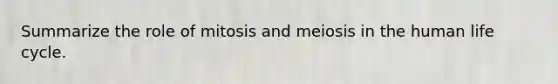 Summarize the role of mitosis and meiosis in the human life cycle.