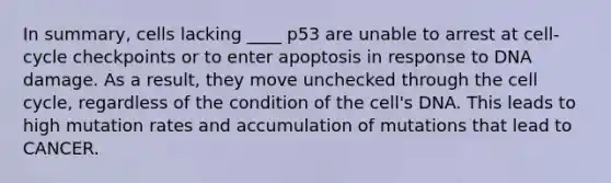 In summary, cells lacking ____ p53 are unable to arrest at cell-cycle checkpoints or to enter apoptosis in response to DNA damage. As a result, they move unchecked through the cell cycle, regardless of the condition of the cell's DNA. This leads to high mutation rates and accumulation of mutations that lead to CANCER.