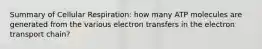 Summary of Cellular Respiration: how many ATP molecules are generated from the various electron transfers in the electron transport chain?