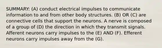 SUMMARY: (A) conduct electrical impulses to communicate information to and from other body structures. (B) OR (C) are connective cells that support the neurons. A nerve is composed of a group of (D) the direction in which they transmit signals. Afferent neurons carry impulses to the (E) AND (F). Efferent neurons carry impulses away from the (G).