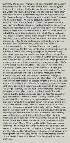 Summary The death of Mama Elena frees Tita from her mother's wretched sentence, and her excitement about marrying John Brown is diverted only by the birth of Rosaura's second child, a girl, whom Tita names Esperanza. Tita chooses this name after refusing to let Pedro name the child Josefita (Tita's real name). Tita chooses the name Esperanza, which means "hope," because she wants her niece, who is by default Rosaura's youngest daughter, to escape the familial tradition that prevented Tita from marrying. Tita is intimately involved in raising her niece, as Rosaura is bedridden due to a complicated delivery and unable to nurse. Esperanza is reared in the kitchen, just as Tita was, and fed with the same teas and gruels with which Nacha nurtured Tita. Rosaura is quite jealous at the closeness between Tita and the infant. One day she confirms Tita's fears: She announces her intention to follow family doctrine and prohibit Esperanza from marrying. This announcement, combined with Pedro's confrontational efforts to dissuade Tita from marrying John Brown, inspires a terrible rage in Tita. It is with this rage that Tita prepares a meal called champandongo, to be served during John's visit to ask for her hand in marriage. While cooking, Tita experiences a sensation of tremendous heat that compounds the heat of the kitchen to create an intense steam. Anger permeates her body, and everything surrounding her aggravates her. Tita's feeling is said to be "like water for chocolate," referring to the preparation of chocolate, during which water is brought just short of boiling several times before use in the recipe. The heat of Tita's anger rises until she is suddenly interrupted by the arrival of Chencha, who has returned to the ranch happily married and ready to begin a new life. Chencha's return lets Tita take a break from cooking to prepare for John's arrival. She takes a shower in the outdoor bathroom (a new one built on the same spot where Gertrudis's shower episode occurred). In the shower, Tita's rage subsides, and the heat slowly dissipates. However, the water suddenly becomes so hot that it burns Tita's skin. Fearing that the bathroom is once again on fire, Tita opens her eyes and sees that Pedro has been standing outside of the shower watching her intently, his eyes radiating lust. Tita flees the shower when Pedro approaches her. John arrives during this commotion. Before dinner, John and Pedro argue about politics, adding to the tension. When John formally petitions Pedro, now head of the household, for Tita's hand in marriage, Pedro agrees begrudgingly. John presents Tita with a beautiful diamond ring, making the engagement official. John leaves that night for America to bring back his only living aunt for the wedding. After dinner, Tita is left to clean the kitchen. In a small room off the kitchen in which Mama Elena used to bathe, Pedro once again confronts Tita. Without any words, he takes her to a bed in the room and makes love to her, taking her virginity. Though Rosaura and Chencha see the "phosphorescent plumes" and strange glow coming from the room, they refuse to go near, fearing that the commotion is the ghost of Mama Elena, bringing fury from the other side.