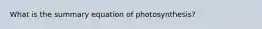 What is the summary equation of photosynthesis?