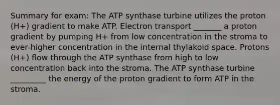 Summary for exam: The ATP synthase turbine utilizes the proton (H+) gradient to make ATP. Electron transport _______ a proton gradient by pumping H+ from low concentration in the stroma to ever-higher concentration in the internal thylakoid space. Protons (H+) flow through the ATP synthase from high to low concentration back into the stroma. The ATP synthase turbine _________ the energy of the proton gradient to form ATP in the stroma.