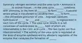 Summary: nitrogen excretion and the urea cycle • Ammonia is _______ to animal tissues. - In the urea cycle, _______ combines with ammonia, in the form of ________, to form _____. - A second amino group is transferred to citrulline from _____ to form ______—the immediate precursor of urea. - Arginase catalyzes hydrolysis of ______ to _____and ______ - ______ is regenerated in each turn of the cycle. • The urea cycle results in a net conversion of oxaloacetate to _____, both of which are intermediates in the citric acid cycle. - The two cycles are thus interconnected. • The activity of the urea cycle is regulated at the level of enzyme synthesis and by allosteric regulation of the enzyme that catalyzes the formation of ______.