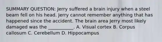 SUMMARY QUESTION: Jerry suffered a brain injury when a steel beam fell on his head. Jerry cannot remember anything that has happened since the accident. The brain area Jerry most likely damaged was the ___________. A. Visual cortex B. Corpus callosum C. Cerebellum D. Hippocampus