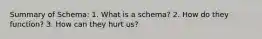 Summary of Schema: 1. What is a schema? 2. How do they function? 3. How can they hurt us?