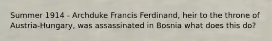 Summer 1914 - Archduke Francis Ferdinand, heir to the throne of Austria-Hungary, was assassinated in Bosnia what does this do?