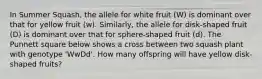 In Summer Squash, the allele for white fruit (W) is dominant over that for yellow fruit (w). Similarly, the allele for disk-shaped fruit (D) is dominant over that for sphere-shaped fruit (d). The Punnett square below shows a cross between two squash plant with genotype 'WwDd'. How many offspring will have yellow disk-shaped fruits?