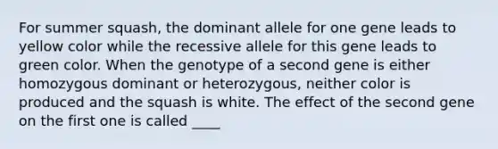 For summer squash, the dominant allele for one gene leads to yellow color while the recessive allele for this gene leads to green color. When the genotype of a second gene is either homozygous dominant or heterozygous, neither color is produced and the squash is white. The effect of the second gene on the first one is called ____