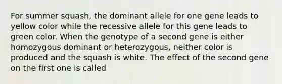 For summer squash, the dominant allele for one gene leads to yellow color while the recessive allele for this gene leads to green color. When the genotype of a second gene is either homozygous dominant or heterozygous, neither color is produced and the squash is white. The effect of the second gene on the first one is called