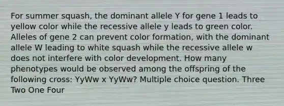 For summer squash, the dominant allele Y for gene 1 leads to yellow color while the recessive allele y leads to green color. Alleles of gene 2 can prevent color formation, with the dominant allele W leading to white squash while the recessive allele w does not interfere with color development. How many phenotypes would be observed among the offspring of the following cross: YyWw x YyWw? Multiple choice question. Three Two One Four