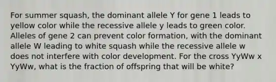 For summer squash, the dominant allele Y for gene 1 leads to yellow color while the recessive allele y leads to green color. Alleles of gene 2 can prevent color formation, with the dominant allele W leading to white squash while the recessive allele w does not interfere with color development. For the cross YyWw x YyWw, what is the fraction of offspring that will be white?