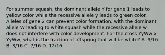 For summer squash, the dominant allele Y for gene 1 leads to yellow color while the recessive allele y leads to green color. Alleles of gene 2 can prevent color formation, with the dominant allele W leading to white squash while the recessive allele w does not interfere with color development. For the cross YyWw x YyWw, what is the fraction of offspring that will be white? A. 9/16 B. 3/16 C. 7/16 D. 12/16