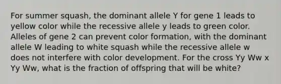 For summer squash, the dominant allele Y for gene 1 leads to yellow color while the recessive allele y leads to green color. Alleles of gene 2 can prevent color formation, with the dominant allele W leading to white squash while the recessive allele w does not interfere with color development. For the cross Yy Ww x Yy Ww, what is the fraction of offspring that will be white?