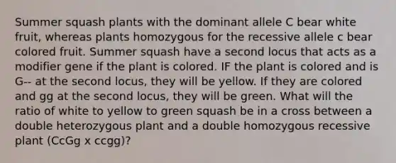 Summer squash plants with the dominant allele C bear white fruit, whereas plants homozygous for the recessive allele c bear colored fruit. Summer squash have a second locus that acts as a modifier gene if the plant is colored. IF the plant is colored and is G-- at the second locus, they will be yellow. If they are colored and gg at the second locus, they will be green. What will the ratio of white to yellow to green squash be in a cross between a double heterozygous plant and a double homozygous recessive plant (CcGg x ccgg)?