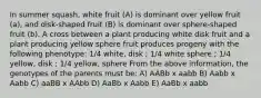 In summer squash, white fruit (A) is dominant over yellow fruit (a), and disk-shaped fruit (B) is dominant over sphere-shaped fruit (b). A cross between a plant producing white disk fruit and a plant producing yellow sphere fruit produces progeny with the following phenotype: 1/4 white, disk ; 1/4 white sphere ; 1/4 yellow, disk ; 1/4 yellow, sphere From the above information, the genotypes of the parents must be: A) AABb x aabb B) Aabb x Aabb C) aaBB x AAbb D) AaBb x Aabb E) AaBb x aabb