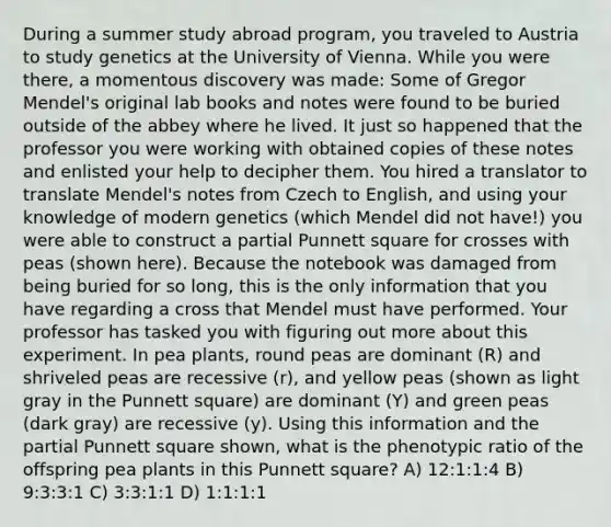 During a summer study abroad program, you traveled to Austria to study genetics at the University of Vienna. While you were there, a momentous discovery was made: Some of Gregor Mendel's original lab books and notes were found to be buried outside of the abbey where he lived. It just so happened that the professor you were working with obtained copies of these notes and enlisted your help to decipher them. You hired a translator to translate Mendel's notes from Czech to English, and using your knowledge of modern genetics (which Mendel did not have!) you were able to construct a partial Punnett square for crosses with peas (shown here). Because the notebook was damaged from being buried for so long, this is the only information that you have regarding a cross that Mendel must have performed. Your professor has tasked you with figuring out more about this experiment. In pea plants, round peas are dominant (R) and shriveled peas are recessive (r), and yellow peas (shown as light gray in the Punnett square) are dominant (Y) and green peas (dark gray) are recessive (y). Using this information and the partial Punnett square shown, what is the phenotypic ratio of the offspring pea plants in this Punnett square? A) 12:1:1:4 B) 9:3:3:1 C) 3:3:1:1 D) 1:1:1:1