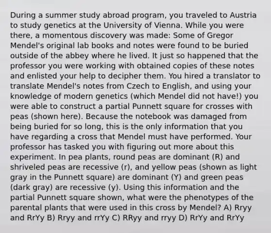 During a summer study abroad program, you traveled to Austria to study genetics at the University of Vienna. While you were there, a momentous discovery was made: Some of Gregor Mendel's original lab books and notes were found to be buried outside of the abbey where he lived. It just so happened that the professor you were working with obtained copies of these notes and enlisted your help to decipher them. You hired a translator to translate Mendel's notes from Czech to English, and using your knowledge of modern genetics (which Mendel did not have!) you were able to construct a partial Punnett square for crosses with peas (shown here). Because the notebook was damaged from being buried for so long, this is the only information that you have regarding a cross that Mendel must have performed. Your professor has tasked you with figuring out more about this experiment. In pea plants, round peas are dominant (R) and shriveled peas are recessive (r), and yellow peas (shown as light gray in the Punnett square) are dominant (Y) and green peas (dark gray) are recessive (y). Using this information and the partial Punnett square shown, what were the phenotypes of the parental plants that were used in this cross by Mendel? A) Rryy and RrYy B) Rryy and rrYy C) RRyy and rryy D) RrYy and RrYy