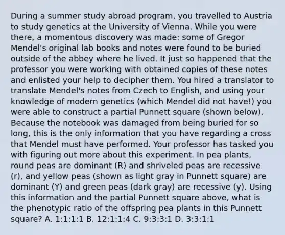 During a summer study abroad program, you travelled to Austria to study genetics at the University of Vienna. While you were there, a momentous discovery was made: some of Gregor Mendel's original lab books and notes were found to be buried outside of the abbey where he lived. It just so happened that the professor you were working with obtained copies of these notes and enlisted your help to decipher them. You hired a translator to translate Mendel's notes from Czech to English, and using your knowledge of modern genetics (which Mendel did not have!) you were able to construct a partial Punnett square (shown below). Because the notebook was damaged from being buried for so long, this is the only information that you have regarding a cross that Mendel must have performed. Your professor has tasked you with figuring out more about this experiment. In pea plants, round peas are dominant (R) and shriveled peas are recessive (r), and yellow peas (shown as light gray in Punnett square) are dominant (Y) and green peas (dark gray) are recessive (y). Using this information and the partial Punnett square above, what is the phenotypic ratio of the offspring pea plants in this Punnett square? A. 1:1:1:1 B. 12:1:1:4 C. 9:3:3:1 D. 3:3:1:1