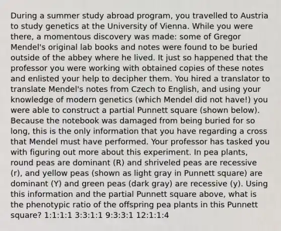 During a summer study abroad program, you travelled to Austria to study genetics at the University of Vienna. While you were there, a momentous discovery was made: some of Gregor Mendel's original lab books and notes were found to be buried outside of the abbey where he lived. It just so happened that the professor you were working with obtained copies of these notes and enlisted your help to decipher them. You hired a translator to translate Mendel's notes from Czech to English, and using your knowledge of modern genetics (which Mendel did not have!) you were able to construct a partial Punnett square (shown below). Because the notebook was damaged from being buried for so long, this is the only information that you have regarding a cross that Mendel must have performed. Your professor has tasked you with figuring out more about this experiment. In pea plants, round peas are dominant (R) and shriveled peas are recessive (r), and yellow peas (shown as light gray in Punnett square) are dominant (Y) and green peas (dark gray) are recessive (y). Using this information and the partial Punnett square above, what is the phenotypic ratio of the offspring pea plants in this Punnett square? 1:1:1:1 3:3:1:1 9:3:3:1 12:1:1:4