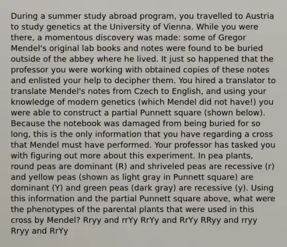 During a summer study abroad program, you travelled to Austria to study genetics at the University of Vienna. While you were there, a momentous discovery was made: some of Gregor Mendel's original lab books and notes were found to be buried outside of the abbey where he lived. It just so happened that the professor you were working with obtained copies of these notes and enlisted your help to decipher them. You hired a translator to translate Mendel's notes from Czech to English, and using your knowledge of modern genetics (which Mendel did not have!) you were able to construct a partial Punnett square (shown below). Because the notebook was damaged from being buried for so long, this is the only information that you have regarding a cross that Mendel must have performed. Your professor has tasked you with figuring out more about this experiment. In pea plants, round peas are dominant (R) and shriveled peas are recessive (r) and yellow peas (shown as light gray in Punnett square) are dominant (Y) and green peas (dark gray) are recessive (y). Using this information and the partial Punnett square above, what were the phenotypes of the parental plants that were used in this cross by Mendel? Rryy and rrYy RrYy and RrYy RRyy and rryy Rryy and RrYy