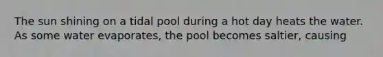 The sun shining on a tidal pool during a hot day heats the water. As some water evaporates, the pool becomes saltier, causing