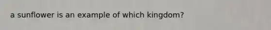 a sunflower is an example of which kingdom?