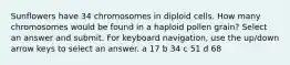 Sunflowers have 34 chromosomes in diploid cells. How many chromosomes would be found in a haploid pollen grain? Select an answer and submit. For keyboard navigation, use the up/down arrow keys to select an answer. a 17 b 34 c 51 d 68