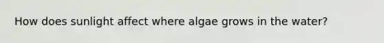 How does sunlight affect where algae grows in the water?