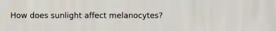 How does sunlight affect melanocytes?