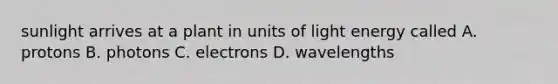 sunlight arrives at a plant in units of light energy called A. protons B. photons C. electrons D. wavelengths